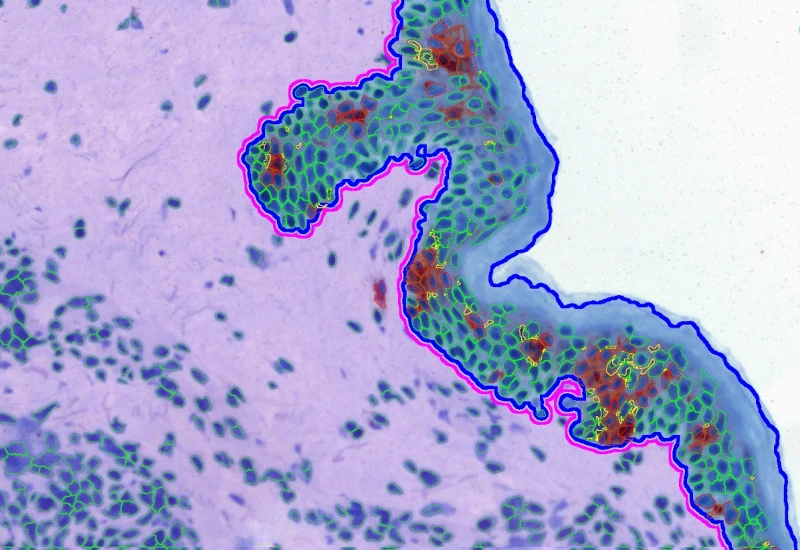 Dynamic Content Image